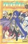 Hiro Mashima - Fairy Tail 43