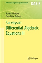 Achi Ilchmann, Achim Ilchmann, Reis, Reis, Timo Reis - Surveys in Differential-Algebraic Equations III