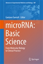 Gaetan Santulli, Gaetano Santulli - MicroRNA: Basic Science