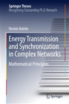 Nicolás Rubido - Energy Transmission and Synchronization in Complex Networks