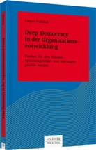 Caspar Fröhlich - Deep Democracy in der Organisationsentwicklung
