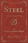 Charles Rumford Walker - Steel: The Diary of a Furnace Worker (Classic Reprint)