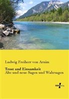 Achim von Arnim, Ludwig Freiherr von Arnim - Trost und Einsamkeit