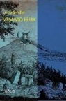 Lucio Sandon - Vesuvio felix