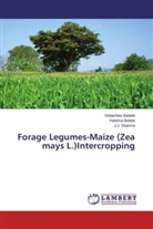 Getache Bekele, Getachew Bekele, Ketem Belete, Ketema Belete, J J Sharma, J. J. Sharma... - Forage Legumes-Maize (Zea mays L.)Intercropping