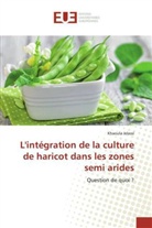 Khaoula Jelassi, Jelassi-k - L integration de la culture de