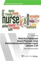 Pascal Geraldy - Welche Faktoren beeinflussen eine Patientenmobilisation nach einem CVI