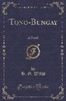 H. G. Wells - Tono-Bungay