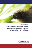 Jagpreet Singh Sodhi - Studies On Internal Male Reproductive Organs Of Subfamily Lithosiinae