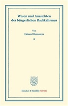 Eduard Bernstein - Wesen und Aussichten des bürgerlichen Radikalismus.