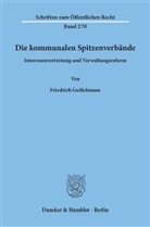 Friedrich Geißelmann - Die kommunalen Spitzenverbände.