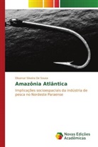 Elisamar Silveira De Sousa - Amazônia Atlântica