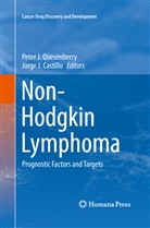 Jorge J. Castillo, J Castillo, J Castillo, Pete J Quesenberry, Peter J Quesenberry, Peter J. Quesenberry - Non-Hodgkin Lymphoma