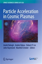 Andre Balogh, André Balogh, Andre Bykov, Andrei Bykov, Robert P. Lin, Robert P Lin et al... - Particle Acceleration in Cosmic Plasmas