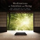 Rolf Gates, Kevin Kenerly - Meditations on Intention and Being: Daily Reflections on the Path of Yoga, Mindfulness, and Compassion (Livre audio)