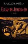 Michael D. Brien, O&amp;apos, Michael D. O'Brien - Elijah in Jerusalem