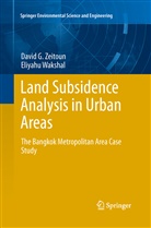 Eliyahu Wakshal, David Zeitoun, David G Zeitoun, David G. Zeitoun - Land Subsidence Analysis in Urban Areas