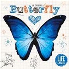 Grace Jones, Matt Rumbelow - Life Cycle of a Butterfly