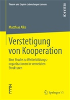 Matthias Alke - Verstetigung von Kooperation