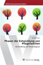 Beat Bachmann - Phasen der Entwicklung von Pflegefamilien