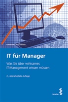 Raimund Putzinger - IT für Manager