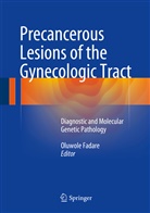 Oluwol Fadare, Oluwole Fadare - Precancerous Lesions of the Gynecologic Tract