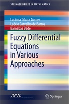 B, Laécio Carvalho d Barros, Laécio Carvalho de Barros, Barnabas Bede, Luciana Takat Gomes, Luciana Takata Gomes - Fuzzy Differential Equations in Various Approaches