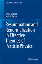 Anta Jakovác, Antal Jakovác, András Patkós - Resummation and Renormalization in Effective Theories of Particle Physics