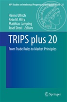Josef Drexl, Reto M Hilty, Reto M. Hilty, Matthias Lamping, Matthias Lamping et al, Ret M Hilty... - TRIPS plus 20