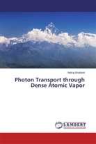 Nabraj Bhattarai - Photon Transport through Dense Atomic Vapor