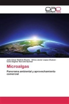 Icela Dagmar Barceló-Quintal, Julio Césa Beltrán-Rocha, Julio César Beltrán-Rocha, Ulrico J. López-Chuken, Ulrico Ja López-Chuken, Ulrico Javier López-Chuken - Microalgas