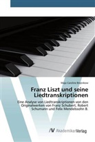 Maja Caroline Brejnikow - Franz Liszt und seine Liedtranskriptionen