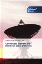 Antonio Cezar de Castro Lima - Convoluted Element and Millimetre Wave Dichroics