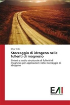 Silvia Virdis - Stoccaggio di idrogeno nelle fulleriti di magnesio
