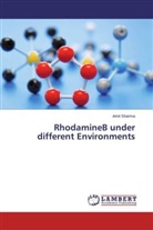 Amit Sharma - RhodamineB under different Environments