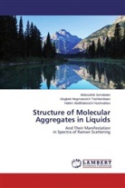 Hakim Abdilhakovich Hushvaktov, Abduvahid Jumabaev, Ulugbek Negmatovi Tashkenbaev, Ulugbek Negmatovich Tashkenbaev - Structure of Molecular Aggregates in Liquids