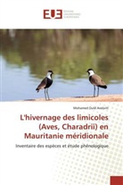 Aveloitt-m, Mohamed Ould Aveloitt - L hivernage des limicoles aves,