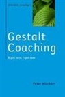 Peter Bluckert - Gestalt Coaching: Right Here, Right Now