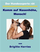 Brigitte Harries - Der Hundeexperte rät - Komm auf Nasenhöhe, Mensch