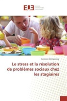 Cameron Montgomery, Montgomery-c - Le stress et la resolution de