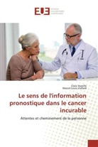 Clar Vazeille, Clara Vazeille, Marcel-Louis Viallard - Le sens de l information