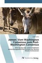 Judith Galter - Jemen: Vom Washington Consensus zum Post-Washington Consensus