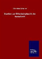 Christian Scherer - Studien zur Elfenbeinplastik der Barockzeit