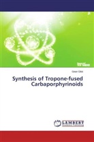 Gean Gilot - Synthesis of Tropone-fused Carbaporphyrinoids