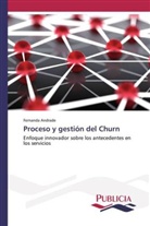 Fernanda Andrade - Proceso y gestión del Churn
