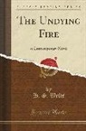 H. G. Wells - The Undying Fire: A Contemporary Novel (Classic Reprint)