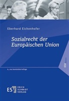 Eberhard Eichenhofer, Eberhard (Prof. Dr. Dr. h. c.) Eichenhofer - Sozialrecht der Europäischen Union