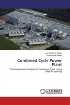 Dhaneshwar Mahto, Lord Jaykisha Nayak, Lord Jaykishan Nayak - Combined Cycle Power Plant