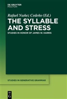 Rafae A Núñez-Cedeño, Rafael A Núñez-Cedeño, Rafael Nuñez Cedeño, Rafael Núñez-Cedeño, Rafael A. Núñez-Cedeño - The Syllable and Stress