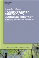 Evangelia Adamou - A Corpus-Driven Approach to Language Contact